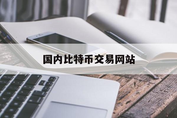 国内比特币交易网站(国内比特币交易app)